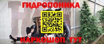 гидра Кингисепп