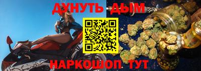 гидра Кингисепп