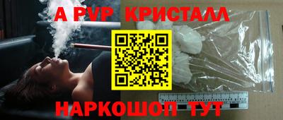 гидра Кингисепп