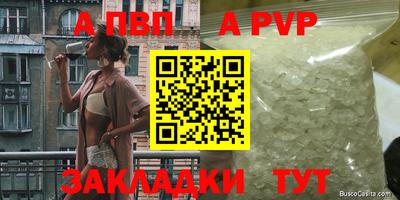 гидра Кингисепп