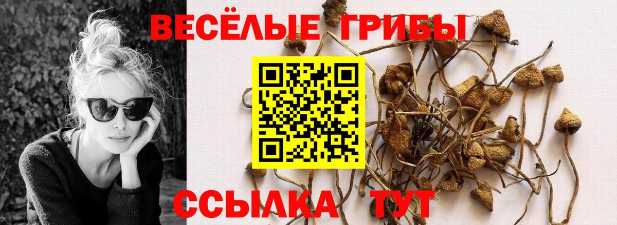 Псилоцибиновые грибы MAGIC MUSHROOMS Новокуйбышевск